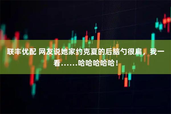 联丰优配 网友说她家约克夏的后脑勺很扁，我一看……哈哈哈哈哈！